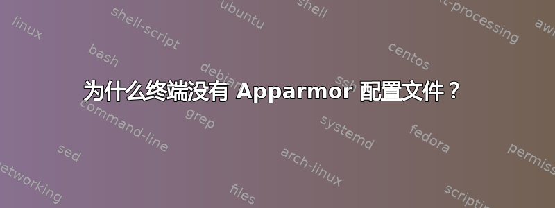 为什么终端没有 Apparmor 配置文件？