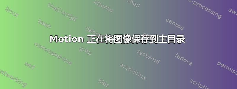 Motion 正在将图像保存到主目录