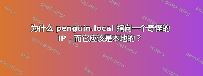 为什么 penguin.local 指向一个奇怪的 IP，而它应该是本地的？