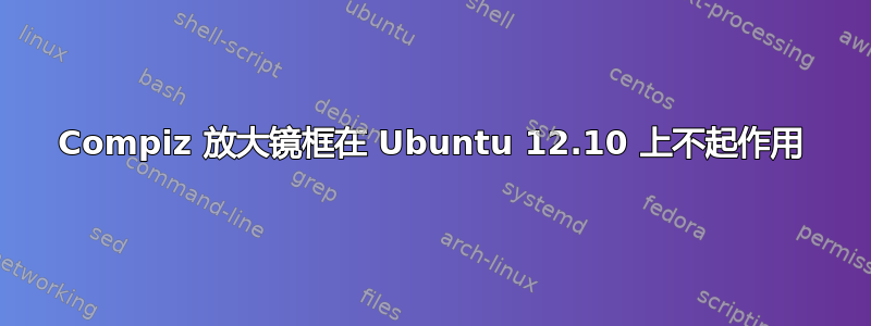 Compiz 放大镜框在 Ubuntu 12.10 上不起作用
