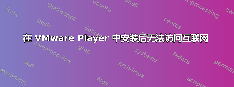 在 VMware Player 中安装后无法访问互联网