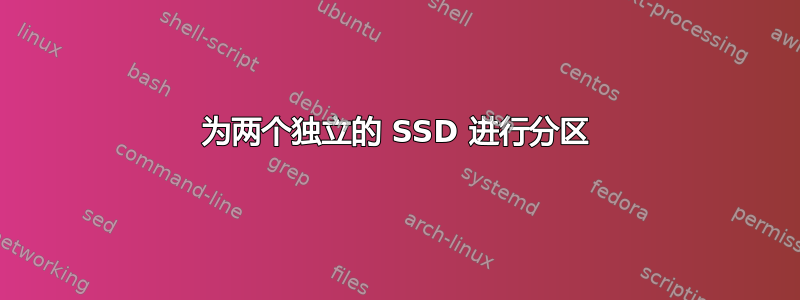 为两个独立的 SSD 进行分区