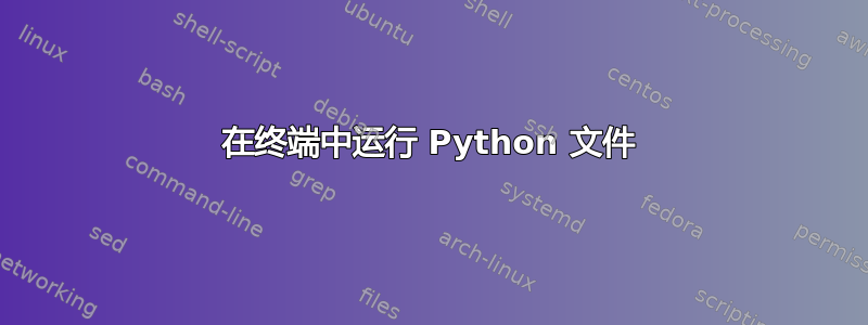 在终端中运行 Python 文件