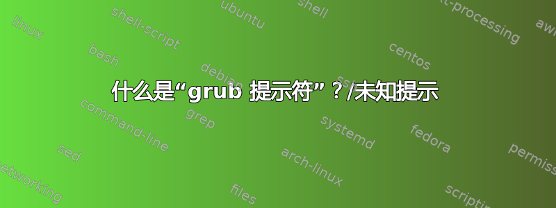 什么是“grub 提示符”？/未知提示