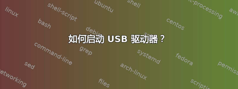 如何启动 USB 驱动器？