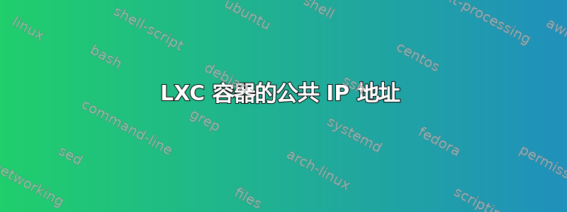 LXC 容器的公共 IP 地址