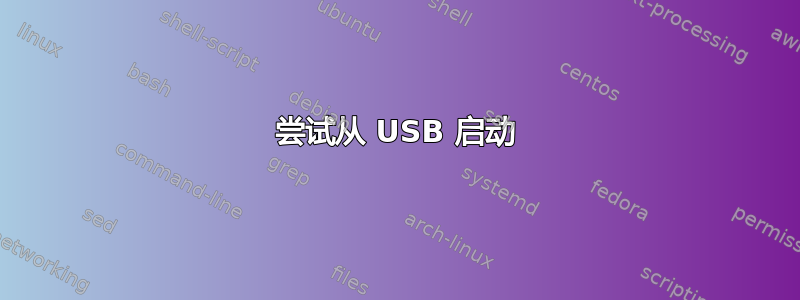 尝试从 USB 启动