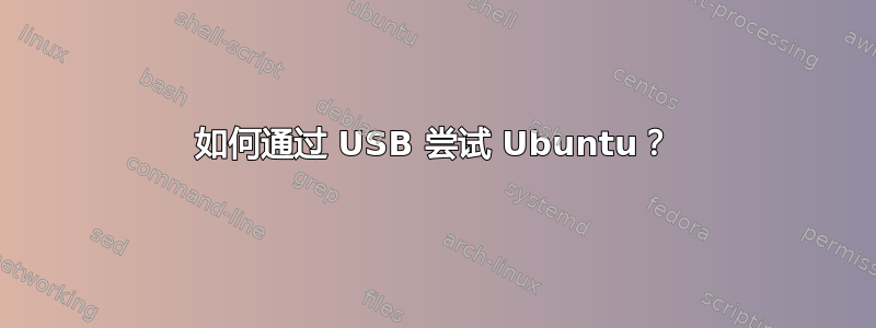 如何通过 USB 尝试 Ubuntu？