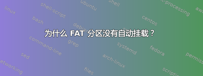 为什么 FAT 分区没有自动挂载？