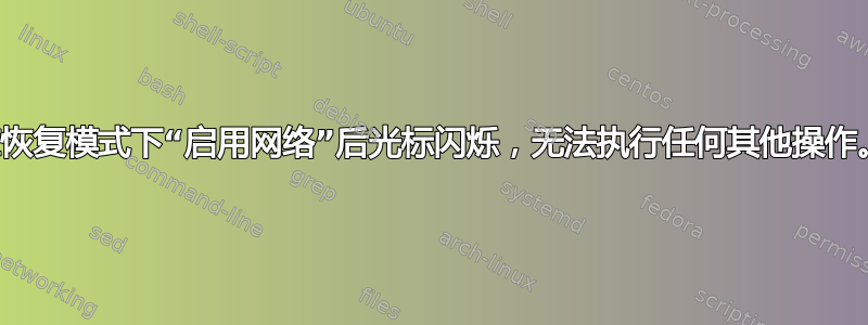 在恢复模式下“启用网络”后光标闪烁，无法执行任何其他操作。