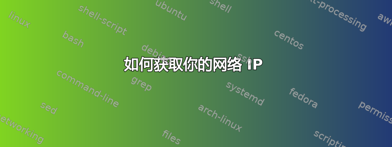 如何获取你的网络 IP