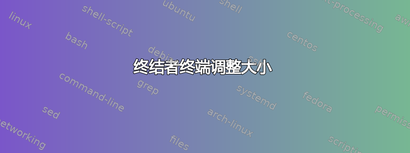 终结者终端调整大小