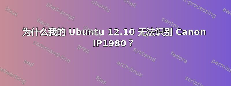 为什么我的 Ubuntu 12.10 无法识别 Canon IP1980？