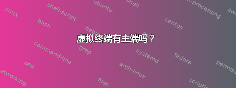 虚拟终端有主端吗？