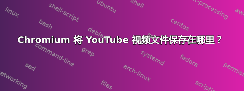 Chromium 将 YouTube 视频文件保存在哪里？