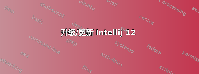 升级/更新 Intellij 12