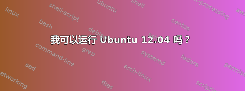 我可以运行 Ubuntu 12.04 吗？