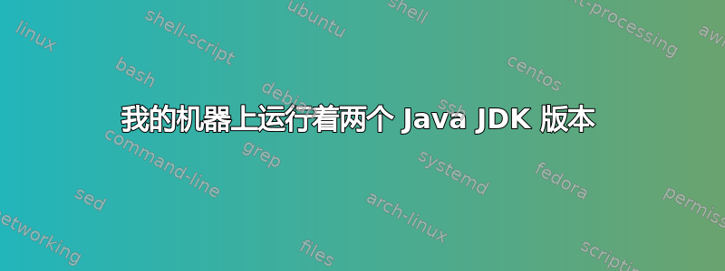 我的机器上运行着两个 Java JDK 版本