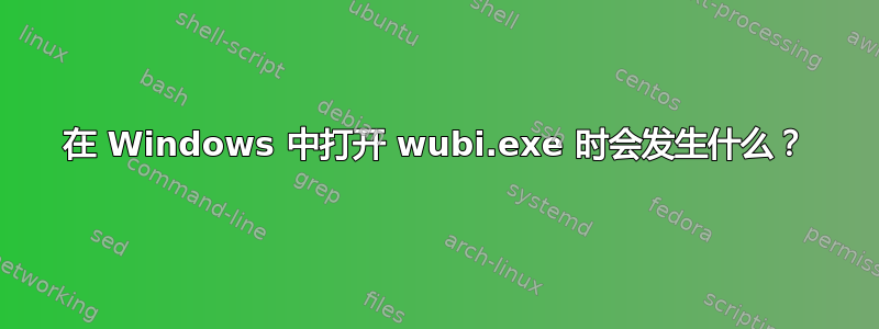 在 Windows 中打开 wubi.exe 时会发生什么？