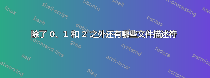 除了 0、1 和 2 之外还有哪些文件描述符