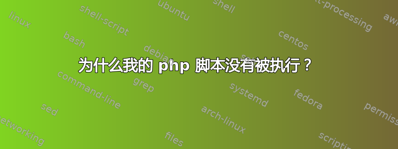 为什么我的 php 脚本没有被执行？