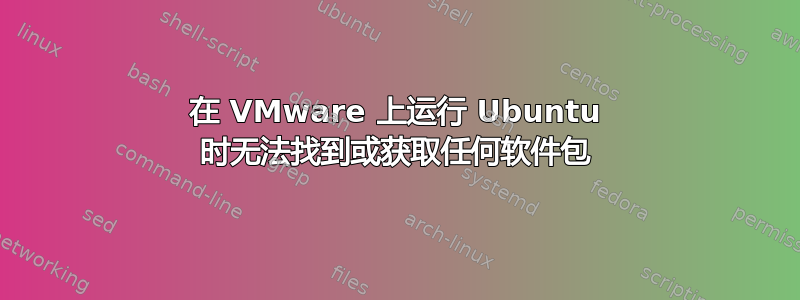 在 VMware 上运行 Ubuntu 时无法找到或获取任何软件包