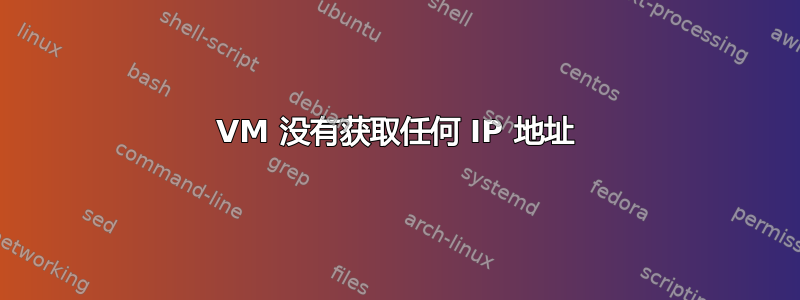 VM 没有获取任何 IP 地址