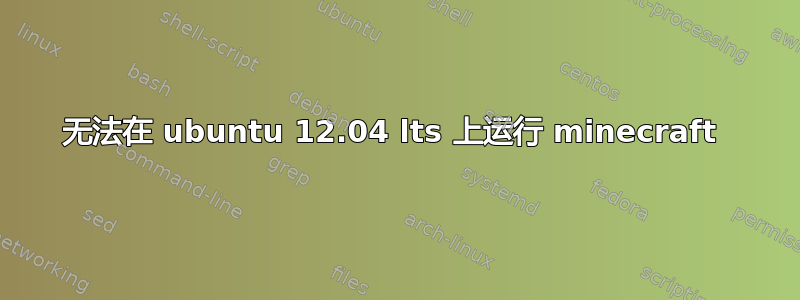 无法在 ubuntu 12.04 lts 上运行 minecraft 