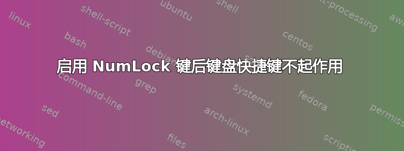 启用 NumLock 键后键盘快捷键不起作用