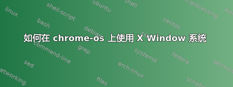 如何在 chrome-os 上使用 X Window 系统