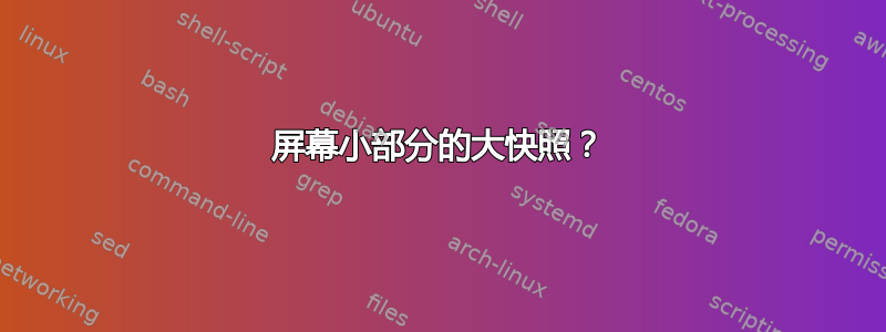 屏幕小部分的大快照？