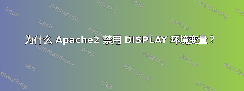 为什么 Apache2 禁用 DISPLAY 环境变量？