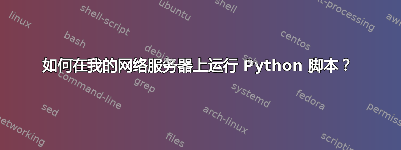 如何在我的网络服务器上运行 Python 脚本？