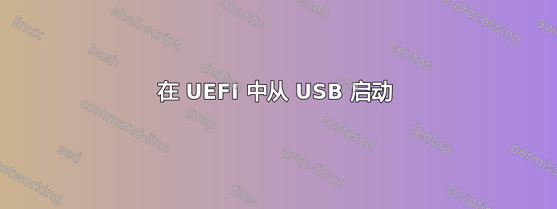 在 UEFI 中从 USB 启动