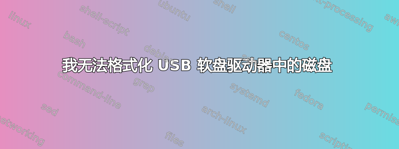 我无法格式化 USB 软盘驱动器中的磁盘