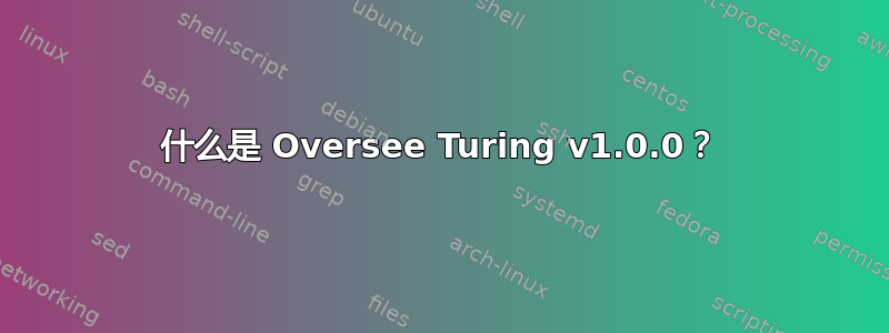 什么是 Oversee Turing v1.0.0？