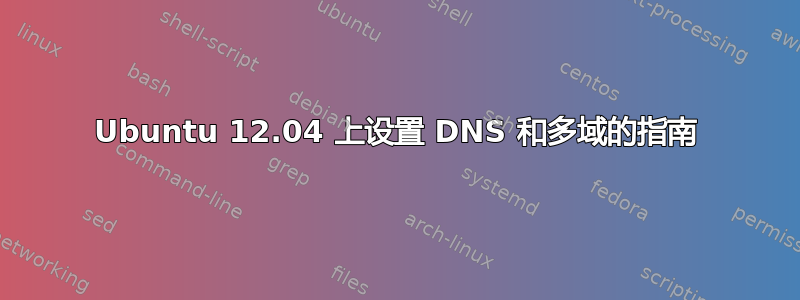 Ubuntu 12.04 上设置 DNS 和多域的指南