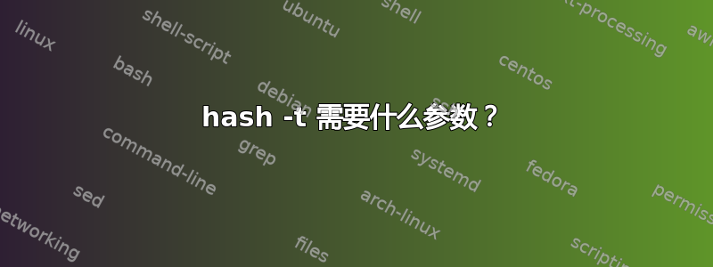 hash -t 需要什么参数？