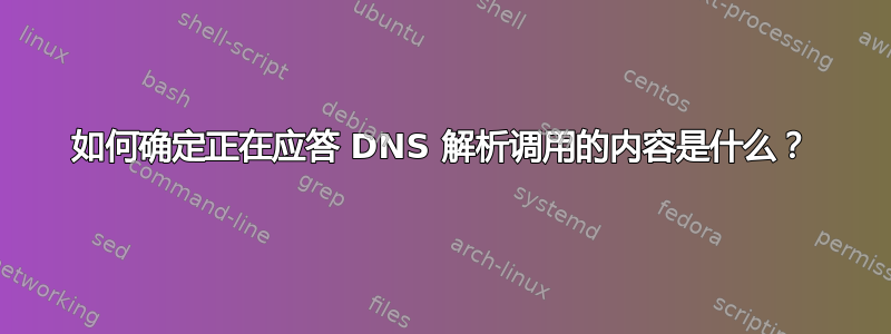 如何确定正在应答 DNS 解析调用的内容是什么？