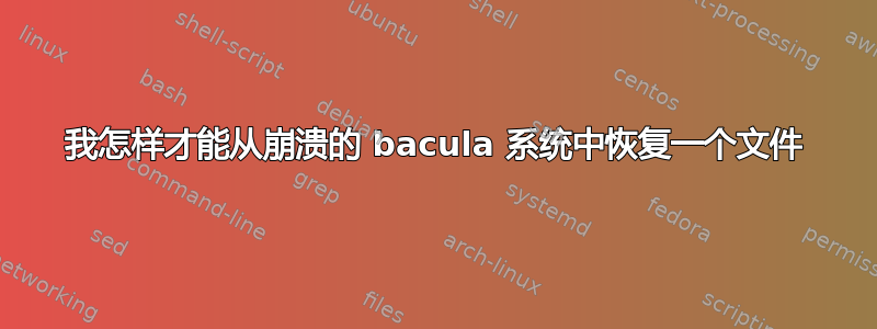 我怎样才能从崩溃的 bacula 系统中恢复一个文件