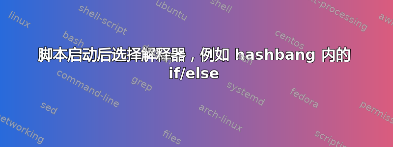 脚本启动后选择解释器，例如 hashbang 内的 if/else