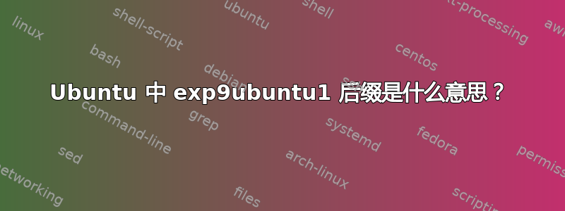 Ubuntu 中 exp9ubuntu1 后缀是什么意思？