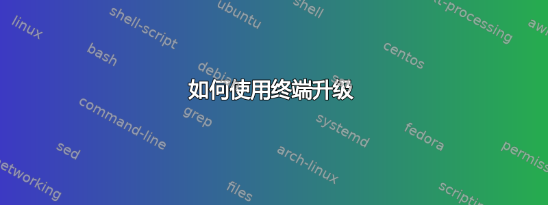 如何使用终端升级