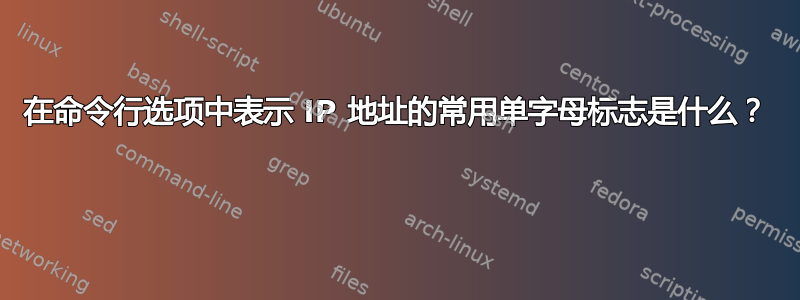 在命令行选项中表示 IP 地址的常用单字母标志是什么？ 