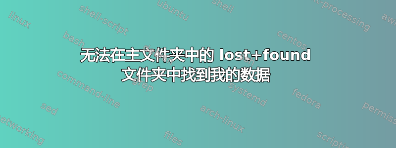 无法在主文件夹中的 lost+found 文件夹中找到我的数据