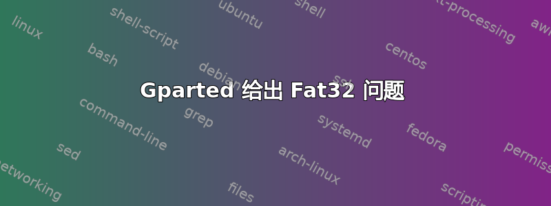 Gparted 给出 Fat32 问题