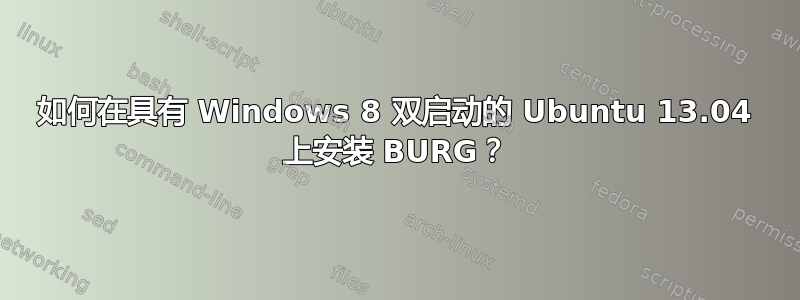 如何在具有 Windows 8 双启动的 Ubuntu 13.04 上安装 BURG？