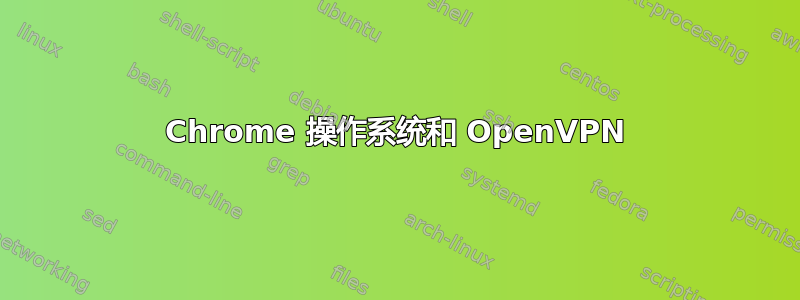 Chrome 操作系统和 OpenVPN