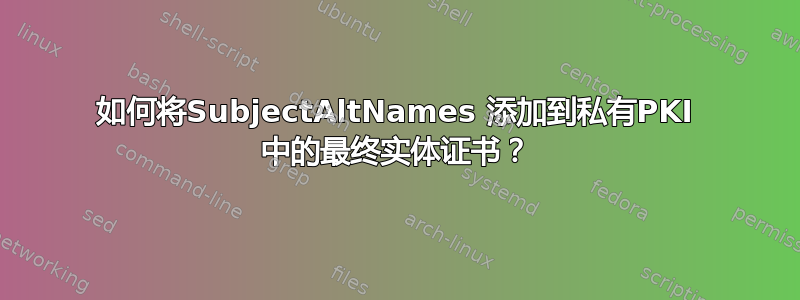 如何将SubjectAltNames 添加到私有PKI 中的最终实体证书？