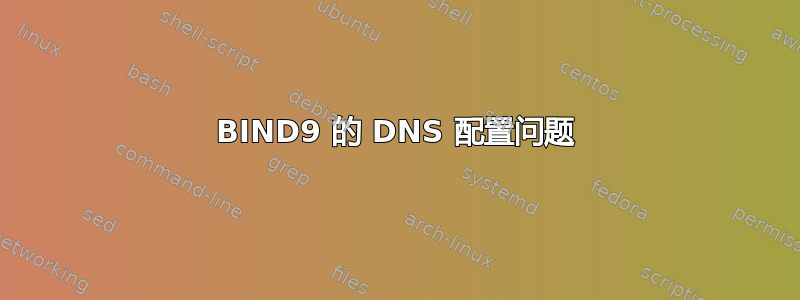 BIND9 的 DNS 配置问题